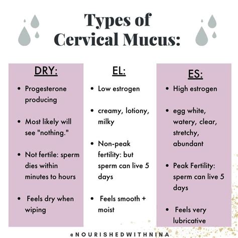 Identifying Cervical Mucus With Fertility Awareness Method · Nourished ...