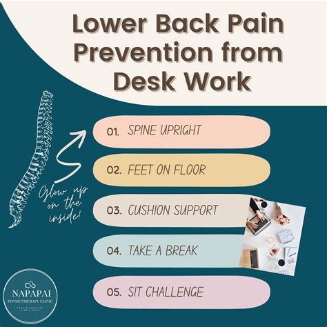 💡Lower Back Pain Prevention from Desk Work - NAPAPAI CLINIC