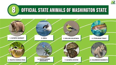 Discover the 8 Official State Animals of Washington State - A-Z Animals