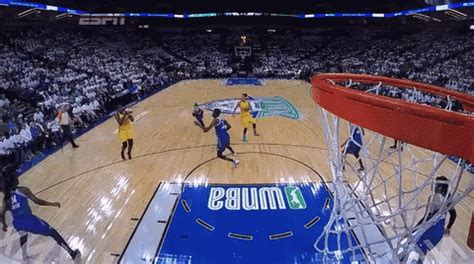 Hoop GIF - Basketball Hoop Swish - Discover & Share GIFs