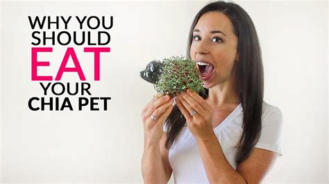 Why You Should EAT Your Chia Pet - YouTube