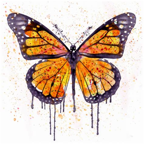 Monarch Butterfly Watercolor Mixed Media by Marian Voicu