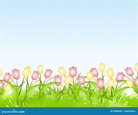 Spring Tulips Background | Wallpapers Gallery