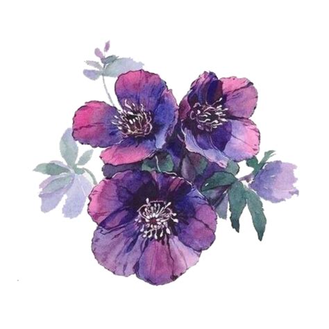 #freetoedit#ftestickers #watercolor #flowers #bouquet #purple #remixit ...