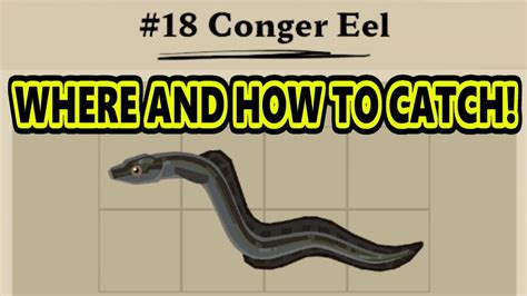 Dredge Conger Eel - How To Catch Congor Eel In Dredge - YouTube