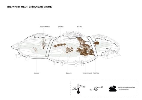 P2: Mediterranean Biome Map | Graphic design inspiration, Art haus, Art