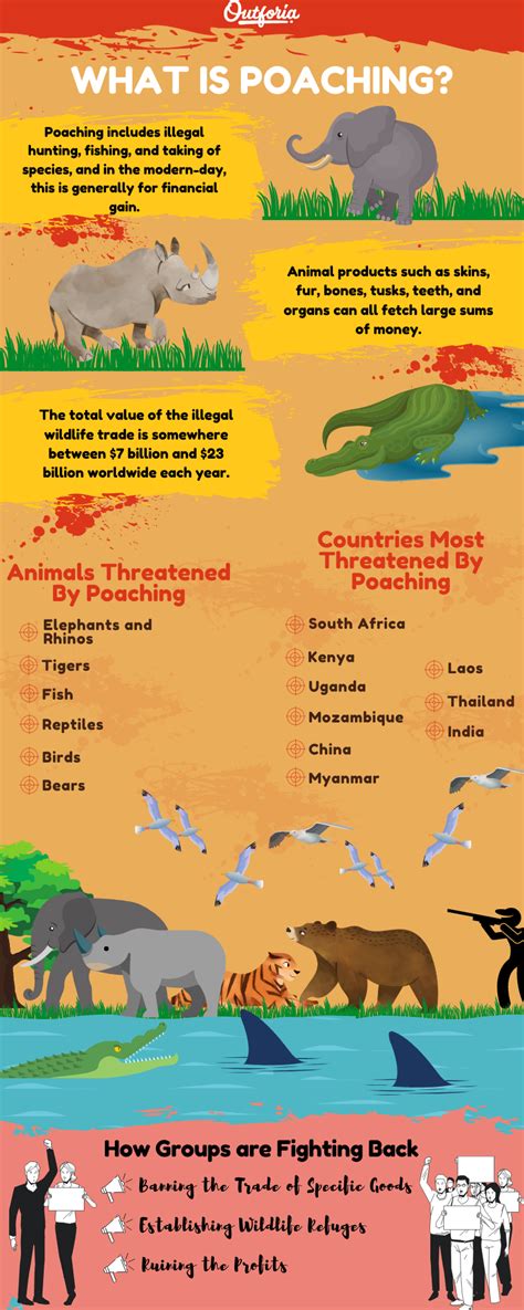 Top 168 + Terrestrial animals definition - Inoticia.net