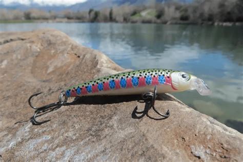 Best Rainbow Trout Lures & Baits Every Angler Should Be Using | Tilt ...