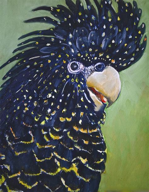 Red Tailed Black Cockatoo Painting by Cynthia Farr