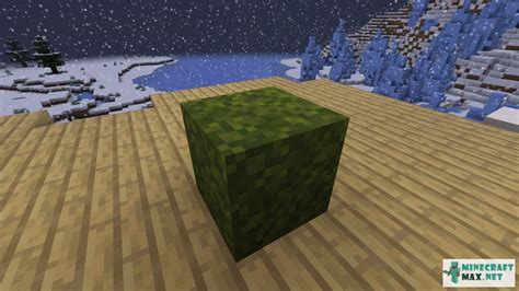 Moss Block | How to craft moss block in Minecraft | Minecraft Wiki