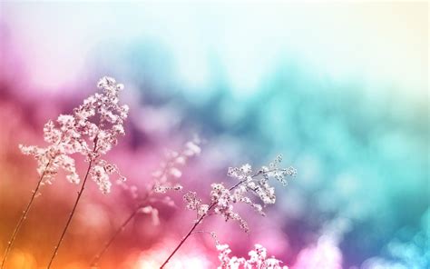 Spring Colors Wallpapers - Top Free Spring Colors Backgrounds ...