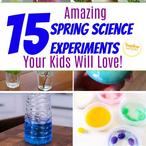 15 Amazing Spring Science Experiments Your Kids Will Love! - Sunshine ...