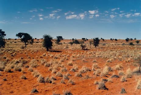 Location and Climate - The Kalahari Desert