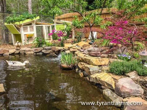 How to build a DIY backyard pond with self-cleaning biofilter