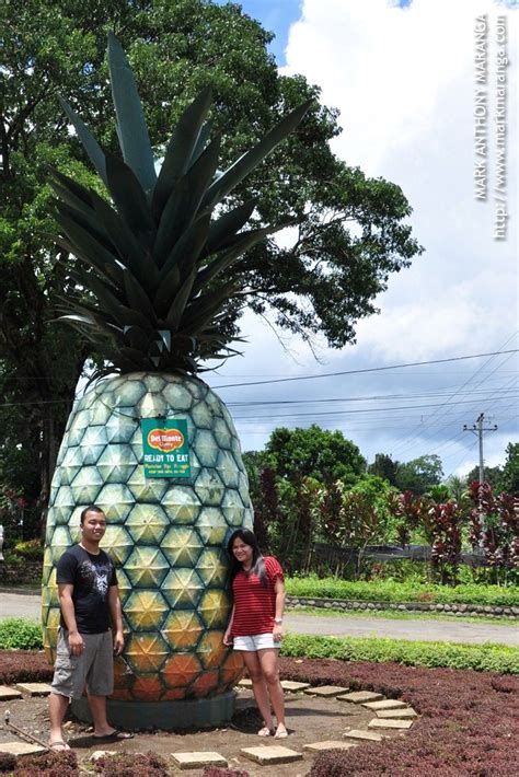 Camp Phillips: Del Monte Pineapple Plantation in Bukidnon - Philippines ...