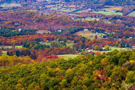 Gallery 3 - Shenandoah Fall Foliage — CameraLingua.com