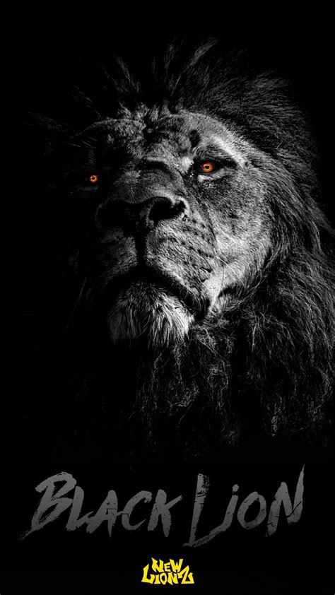 300+ Wallpaper Hd Black Lion free Download - MyWeb