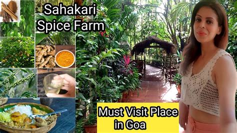 A Must Visit Place in Goa 2022 | Sahakari Spice Farm | Goa 2022 | South ...