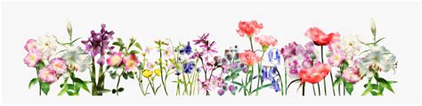 Clipart Banner Flowers - Best Banner Design 2018