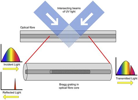 Polymer-fiber grating sensors