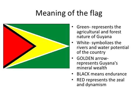 Ppt about guyana