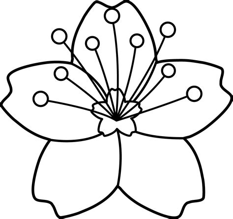 Free Simple Flower Outline, Download Free Simple Flower Outline png ...