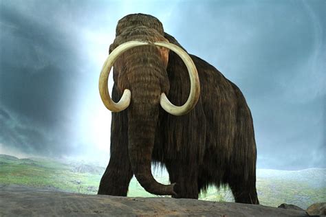 De-Extinction or Recreating Extinct Animals: Facts and Concerns - Owlcation