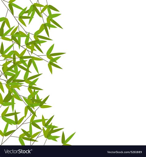 Colourful bamboo leaves Royalty Free Vector Image