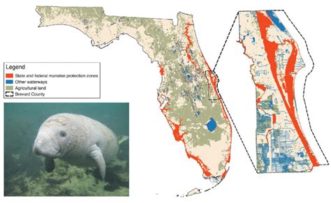 The manatee and the adjacency of its habitat to agricultural land use ...