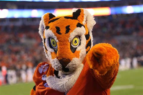 Under the Shady Tree: social media trolls the Clemson Tigers mascot