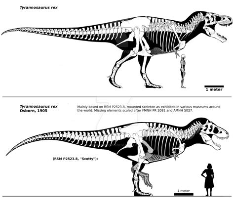 Tyrannosaurus rex