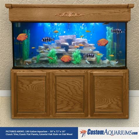 Aquarium Package Specials | Custom Aquariums