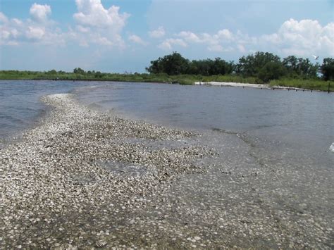 The history that surrounds us: Bayou St. Malo