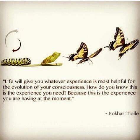 eckhart tolle a new earth quotes - Google Search | Earth quotes ...