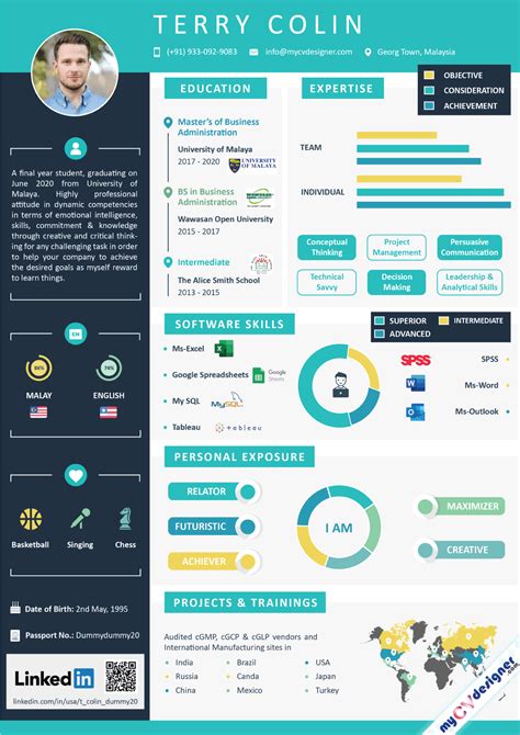 Infographic Resume Builder | Best Infographic Resume Templates