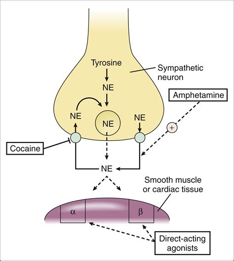 Dopamine Receptor Agonists