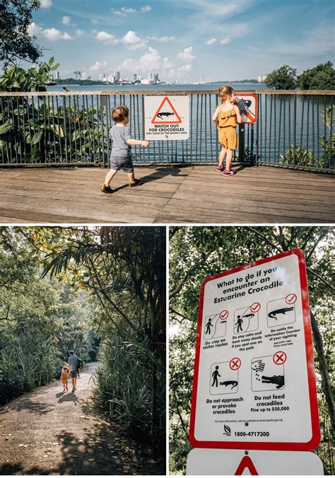 Visiting Kranji Reservoir - Lina Meisen Photography