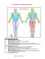 Dermatome Myotome.pdf - Dermatomal and Myotomal Maps Testing Motor ...