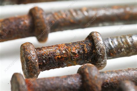 Rusty Nails - Stock Image - C017/3825 - Science Photo Library