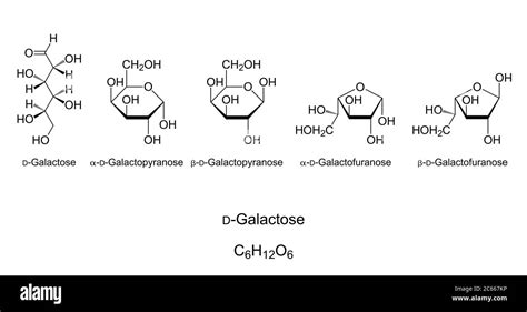 Ntroduire 105+ imagen galactose formule - fr.thptnganamst.edu.vn