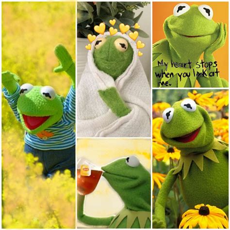 Kermit The Frog Aesthetic - 1024x1024 Wallpaper - teahub.io