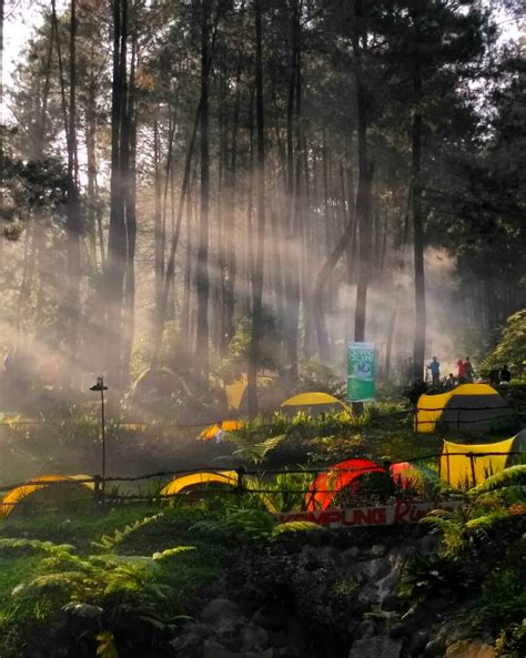 Camping Ground Puncak Bogor – Best Tourist Places in the World