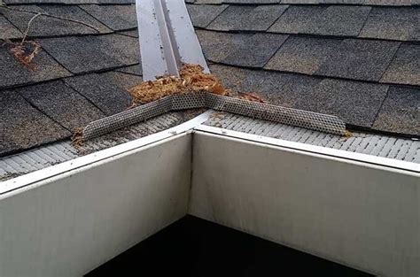 Rainwater Diverter – Raptor Gutter Guard®