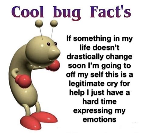 Haha that bug and his silly facts : r/CoolBugFacts