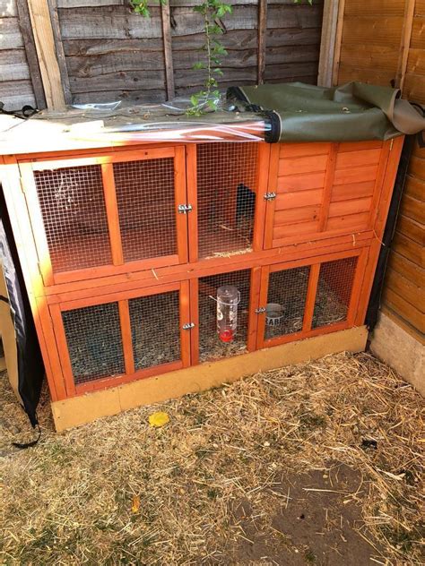 Rabbit hutch, accessories & cover | in Tamworth, Staffordshire | Gumtree