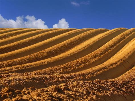 1280px-PikiWiki_Israel_19833_Agriculture_in_Israel Ness Ziona – Israel