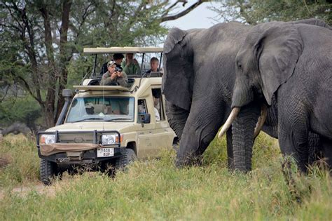 5 Days Tanzania Luxury Safari | Tanzania Wildlife Safari Packages