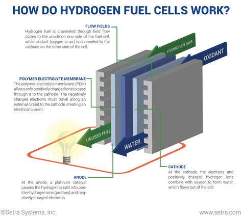 What is a Hydrogen Fuel Cell and How Does it Work?