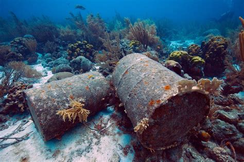 Webinar: The impact of land-based pollution on coral reefs: focus on ...