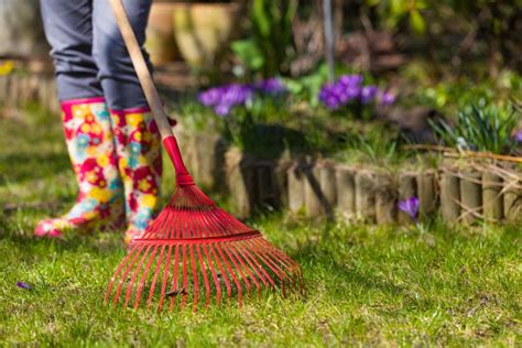 Tips for your Spring yard clean up this year | Dr. Green Services